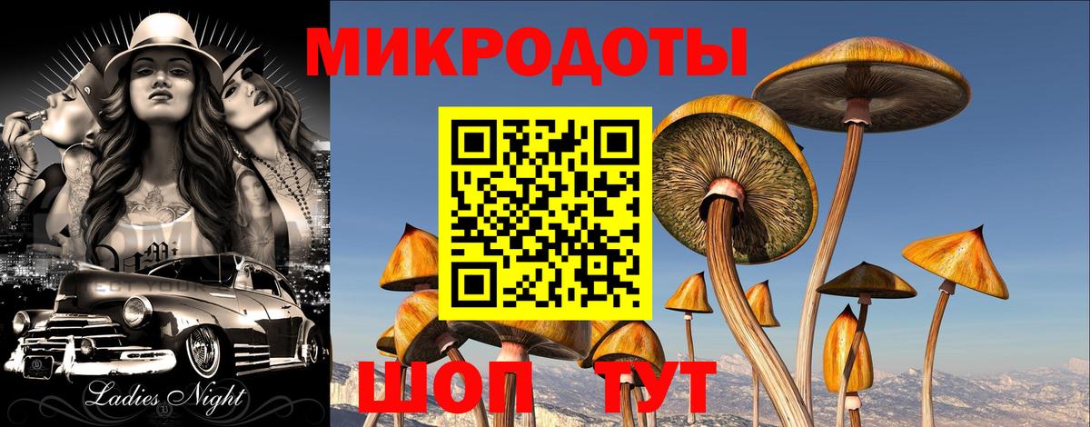 Галлюциногенные грибы мухоморы Железноводск