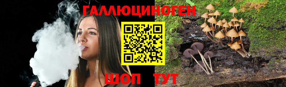 Галлюциногенные грибы прущие грибы  Железноводск 