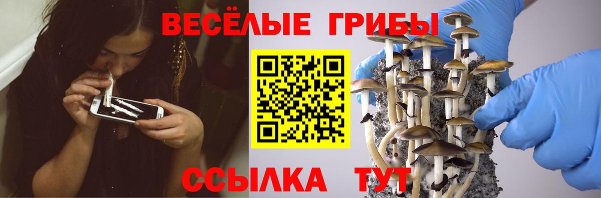 Галлюциногенные грибы GOLDEN TEACHER  Вход с VPN  Псилоцибиновые грибы Cubensis  купить закладку  Железноводск 