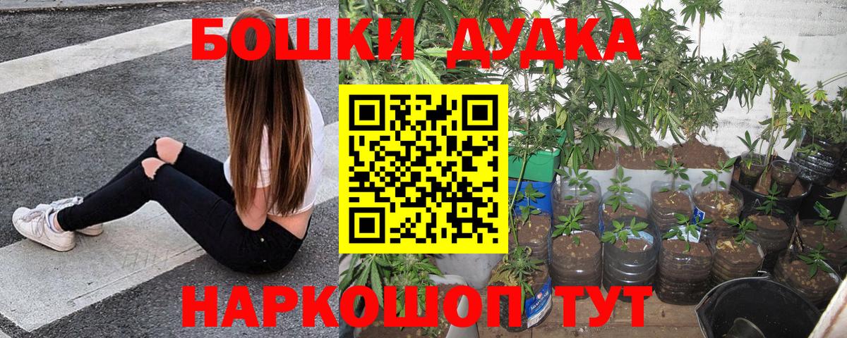 Каннабис план  Вход с VPN  Канабис Amnesia  Канабис гибрид  Железноводск  Бошки марихуана конопля 